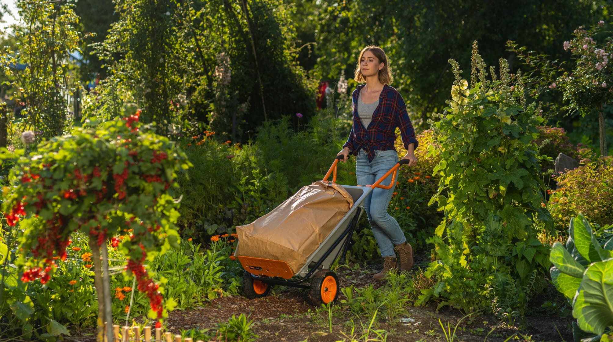 Giardinaggio paesaggio. Carriola, attrezzi da giardino, serra nel giardino  Foto stock - Alamy