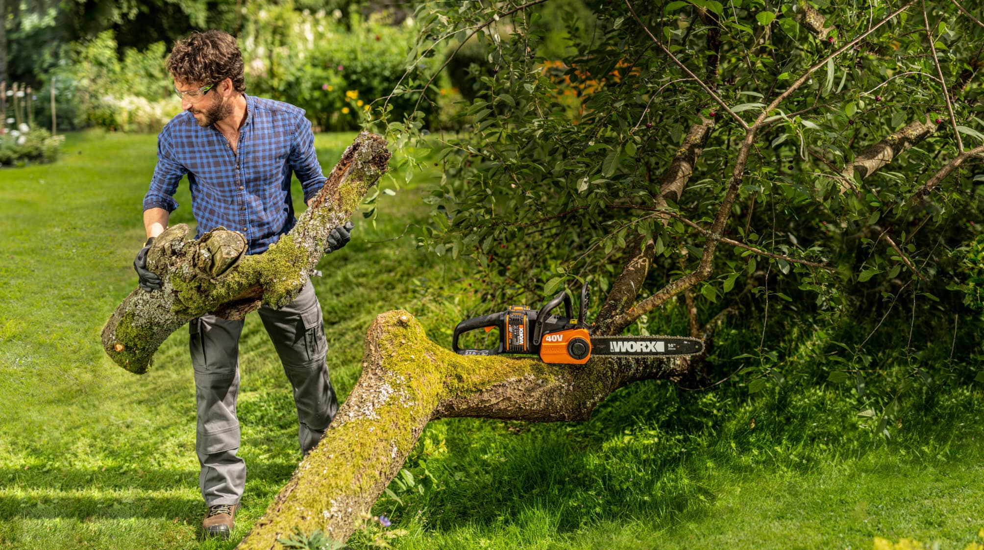 Cordless chainsaws and pole saws for pruning plants Worx